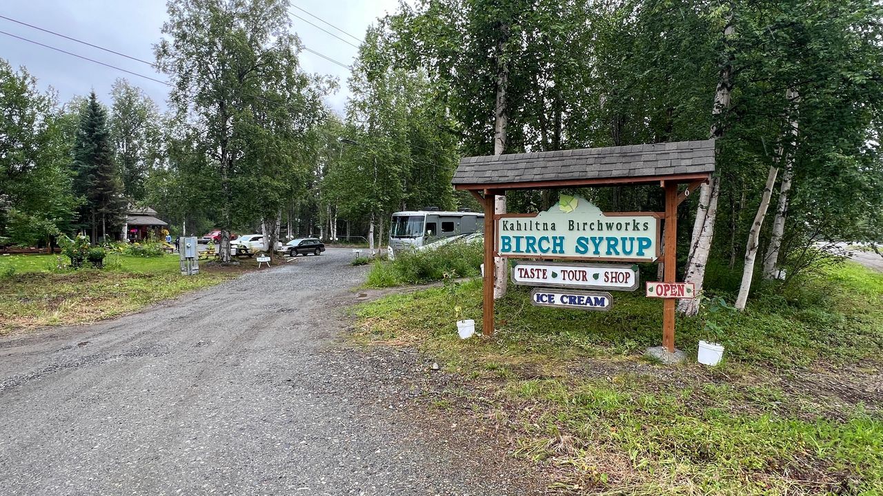 Yum ahead at Birch Syrup Farm