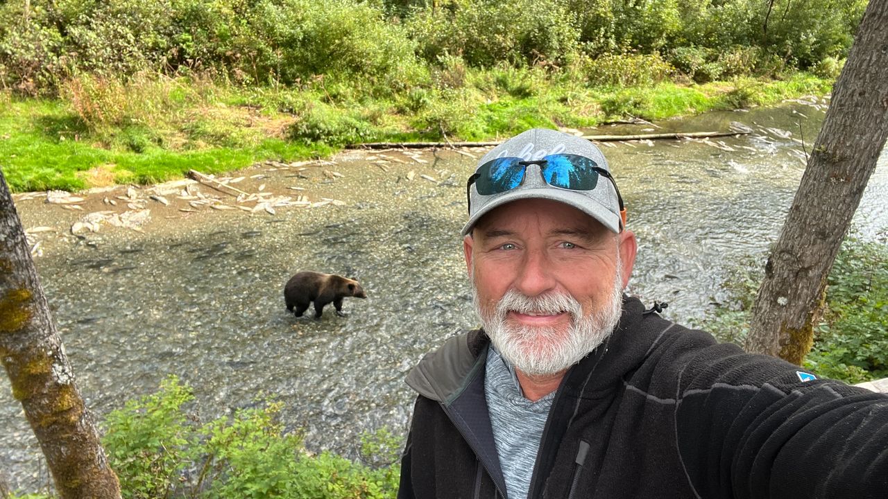 Bears in Fish Creek