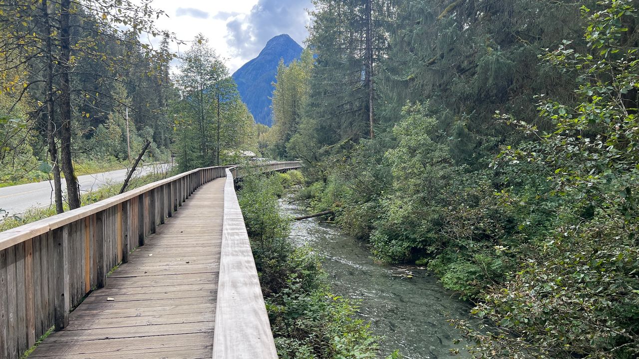 Fish Creek viewing platform