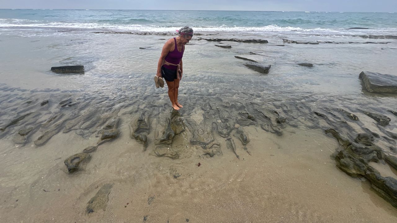 Beach Discovery time