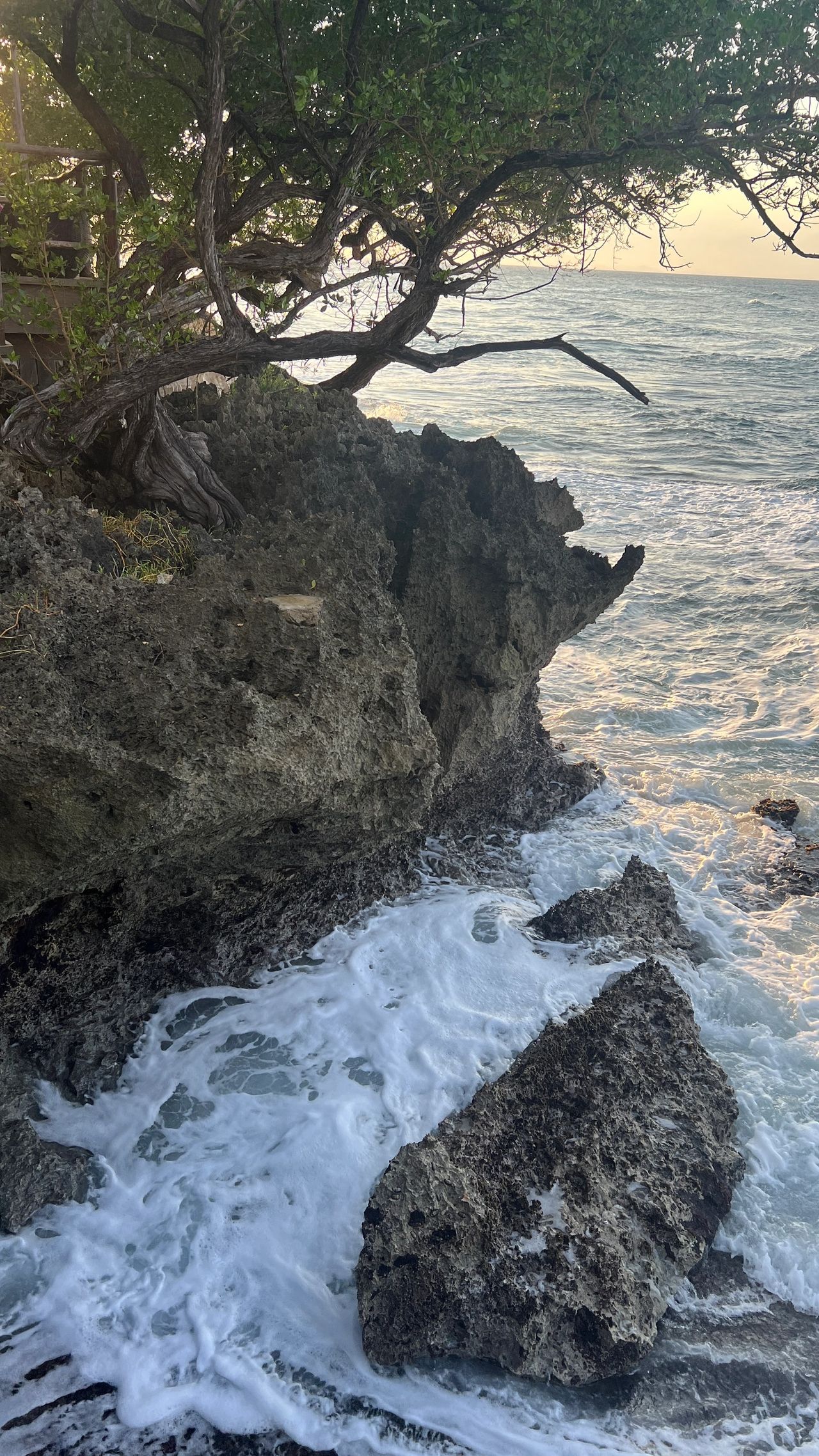 View below Restaurant