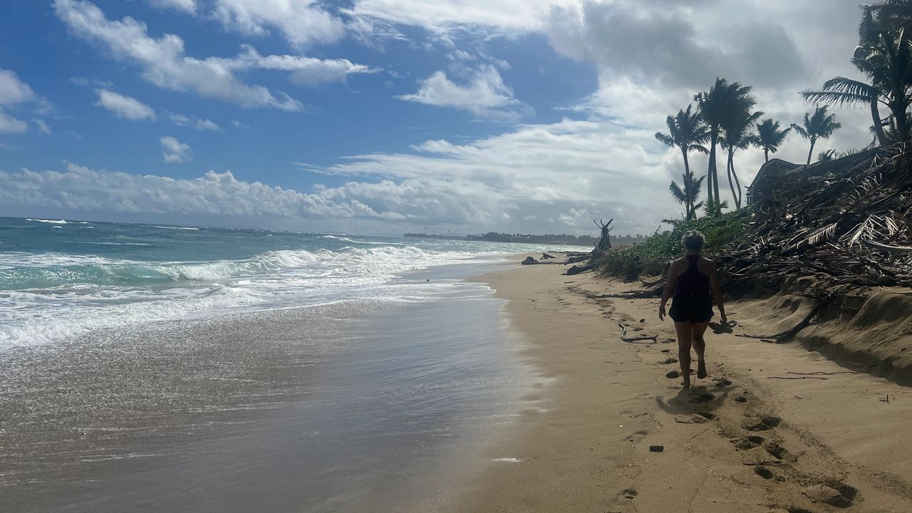 Yoli Strolling on the beach