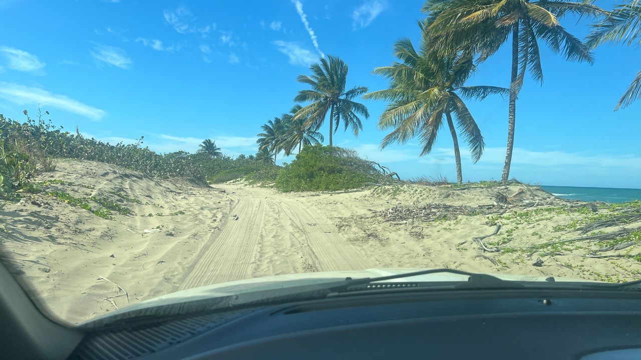 the road to Wilsons La Boca