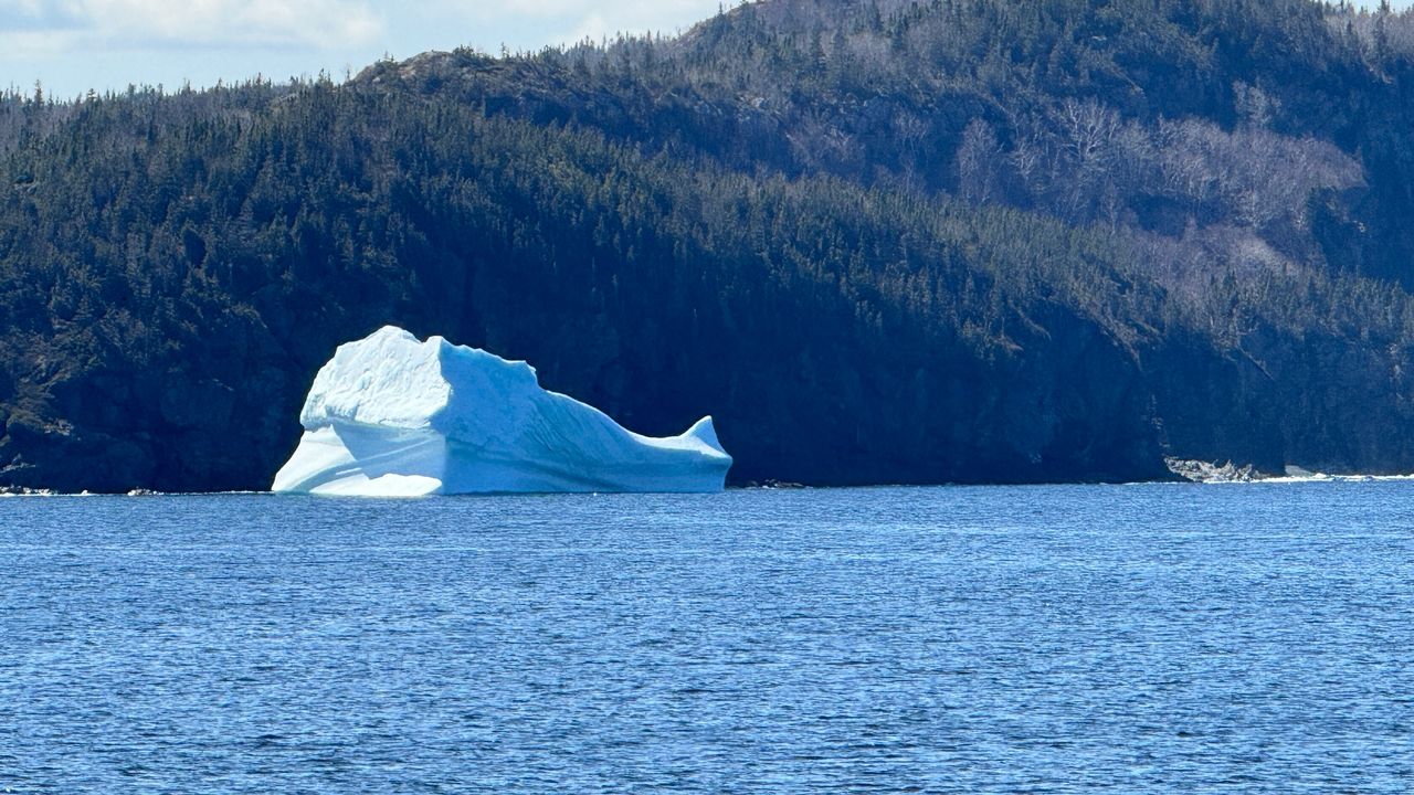 Iceberg #1