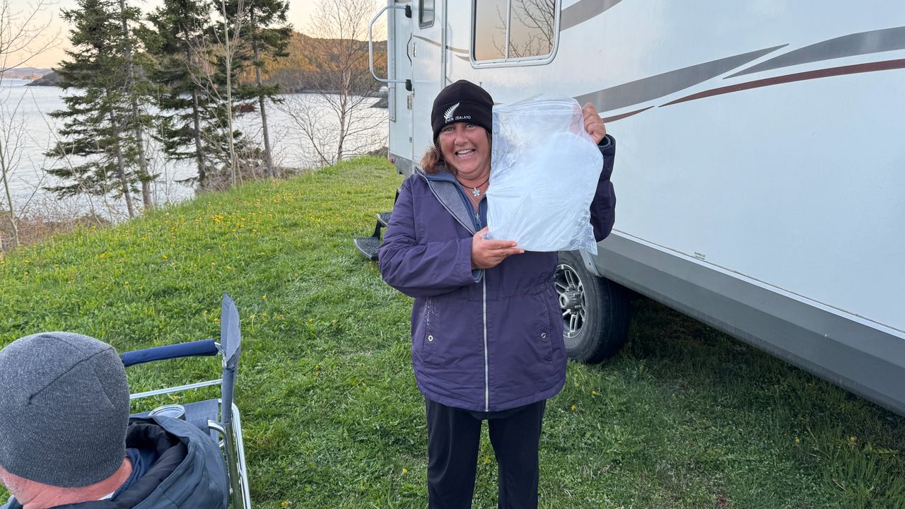 Scored a chunk of Iceberg Ice