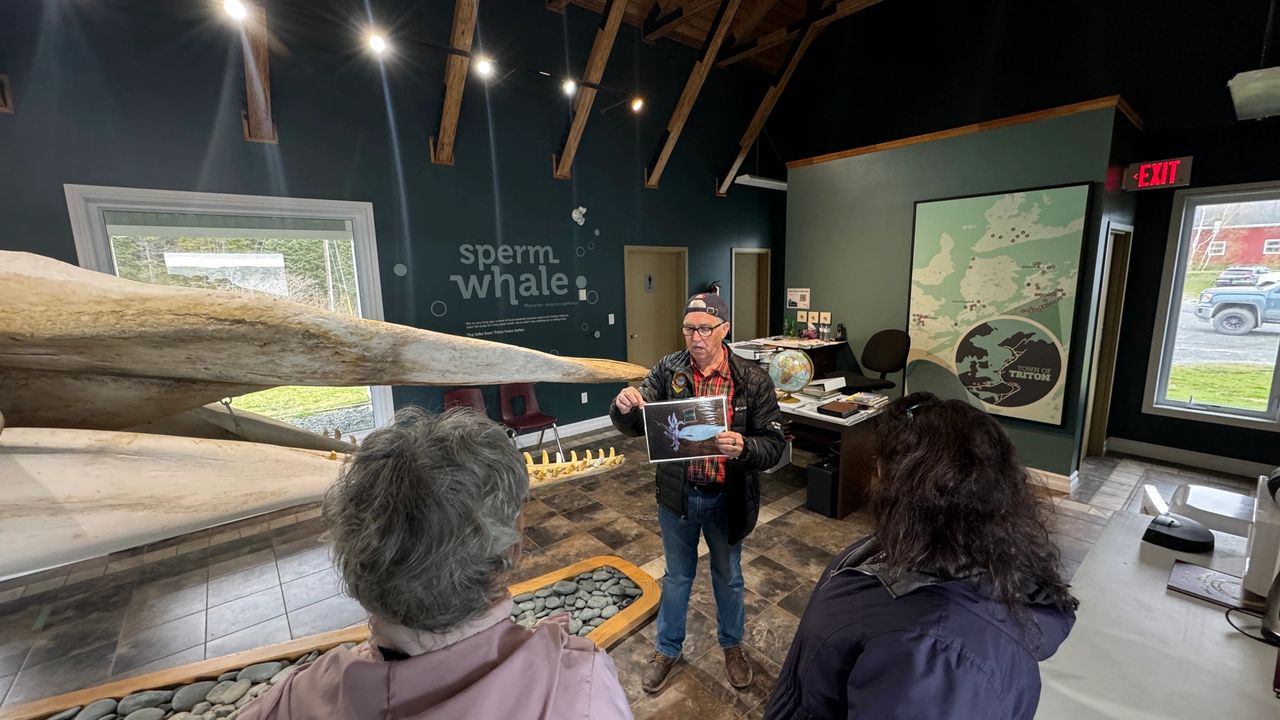 Terry and Whale Tales