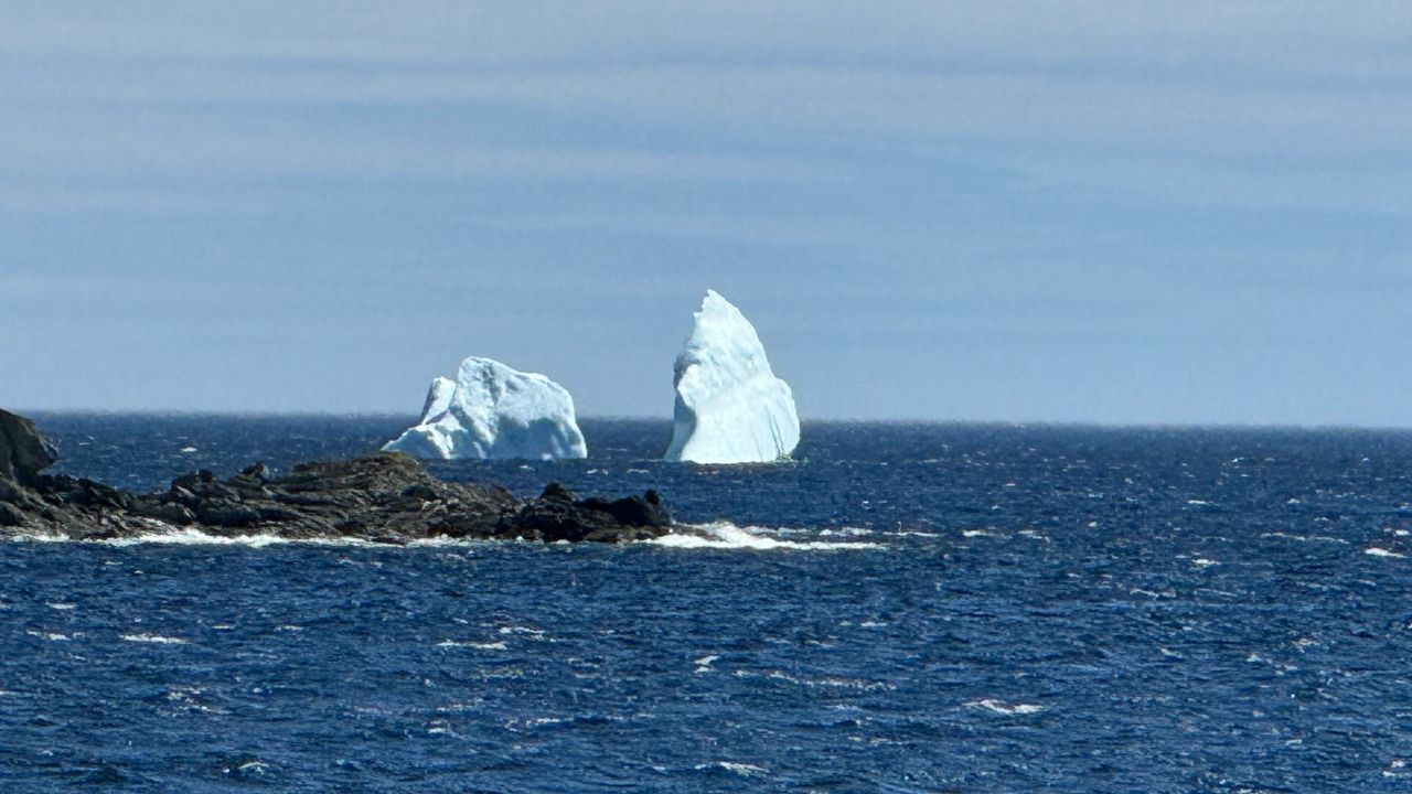 Iceberg #3