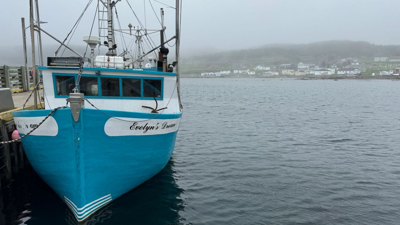 Fishing and Crabbing boats at doc