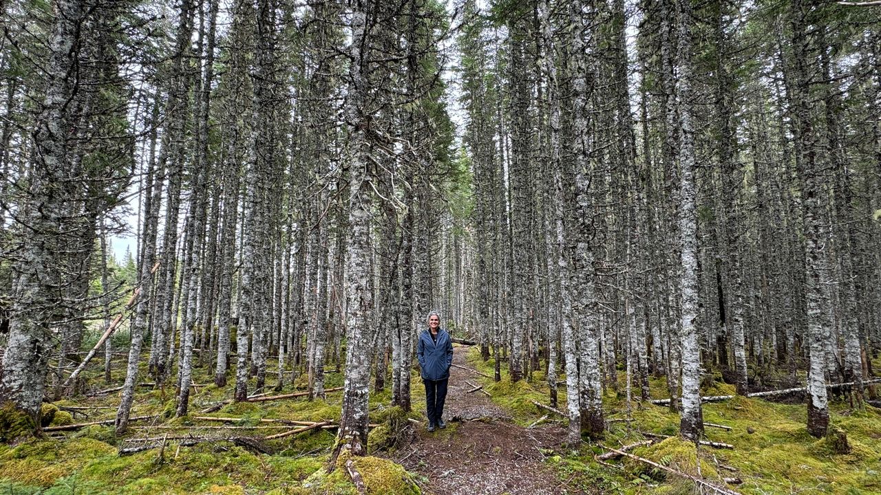 Yoli and beautiful trees