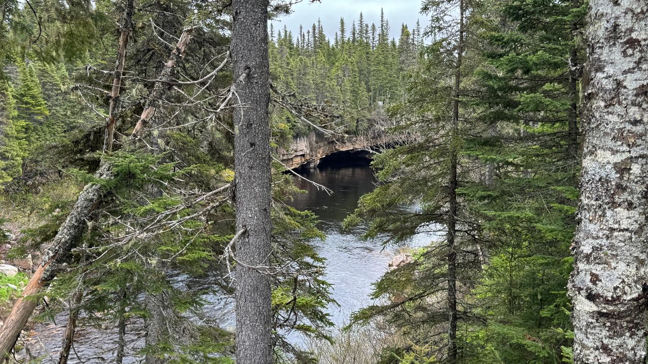 Underground Salmon Pool