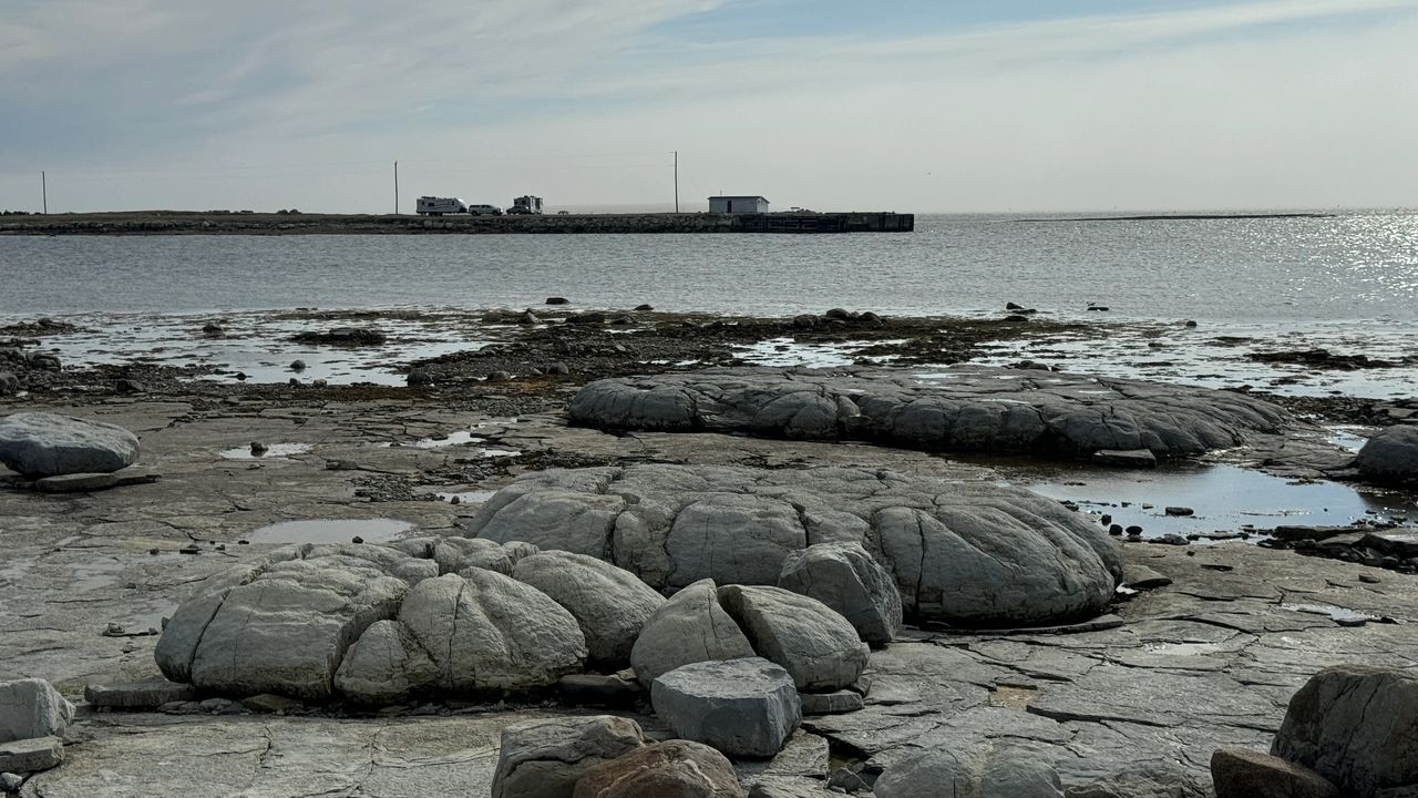 Thrombolites with RV in background