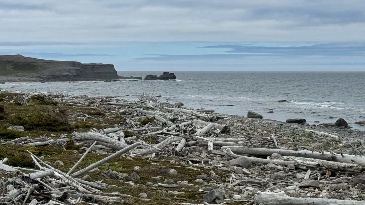 View from Philips Garden shoreline