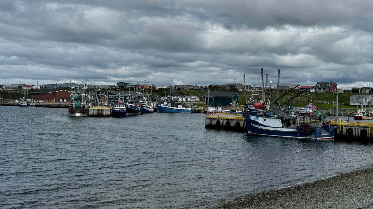 Port aux Choix Harbor