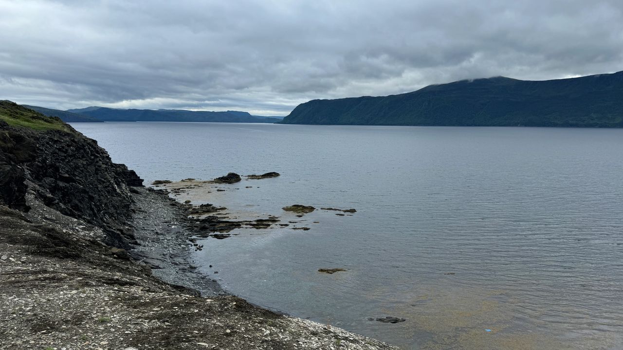 East Arm from Bayview Rd