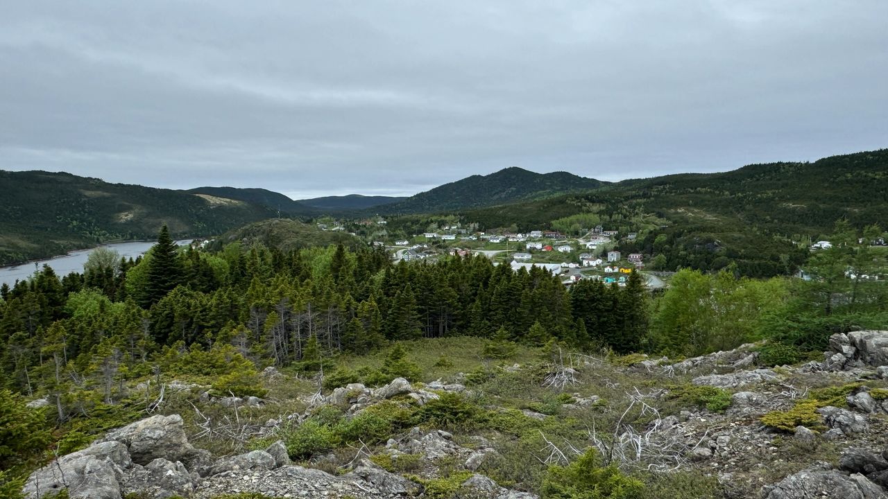 Town of Fleur de Lys