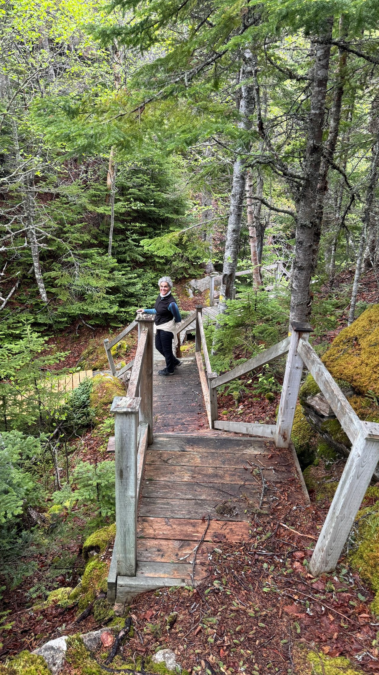 Trail staircases