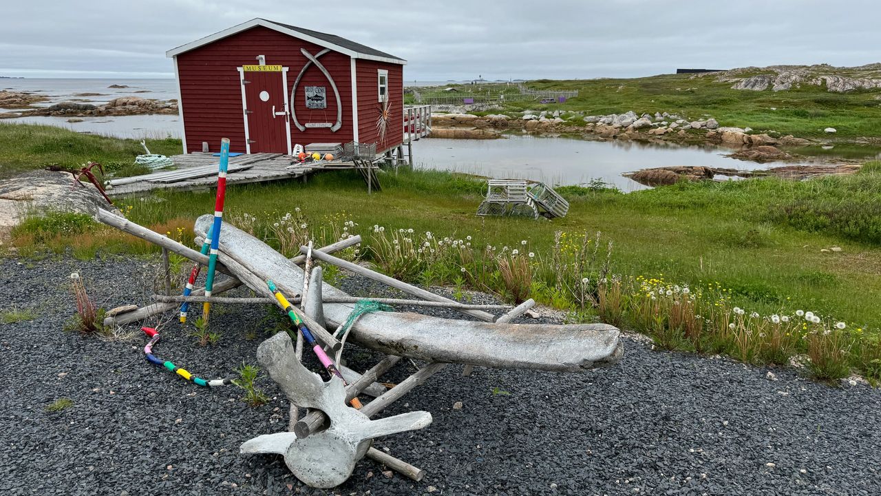 Joe Batt's Arm Trail head