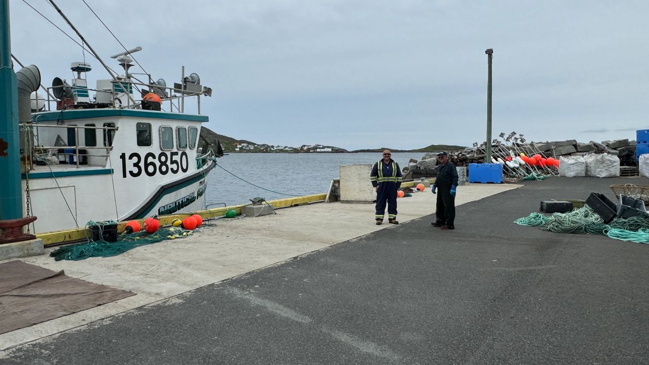 Doc hands for Crab/Lobster
