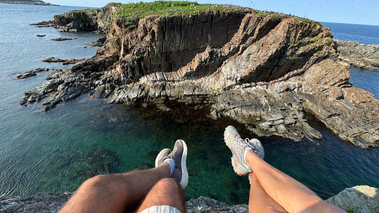 Bird Island near Elliston