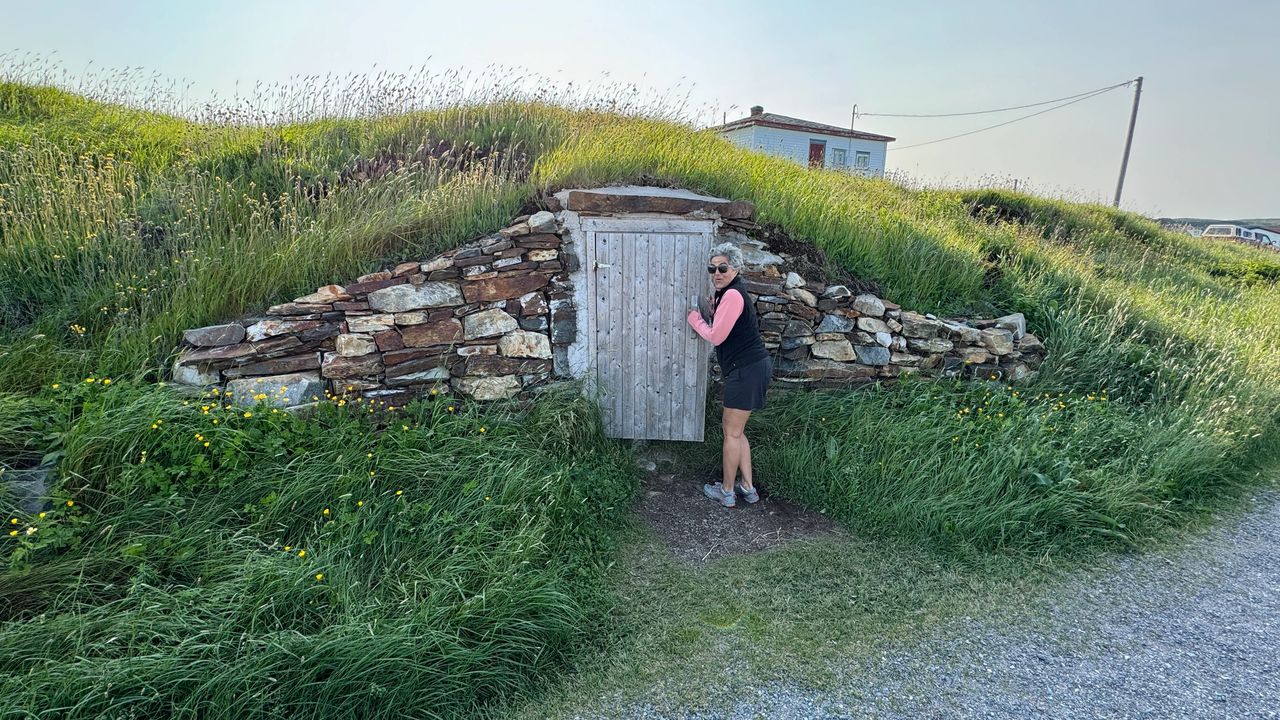 Root Cellar