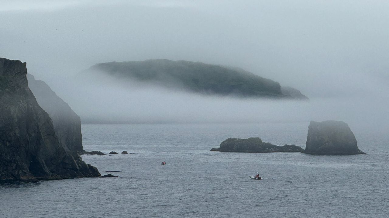 Cliff view from Lighthouse
