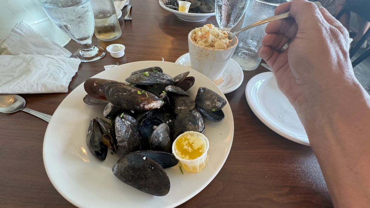 All you can eat chowder and mussels